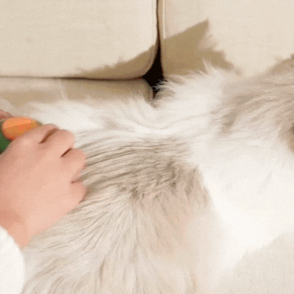 CEPILLO SPA PARA MASCOTAS 3 EN 1